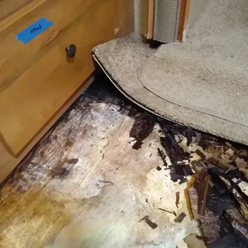 Wood Floor Water Damage in Carver County, MN